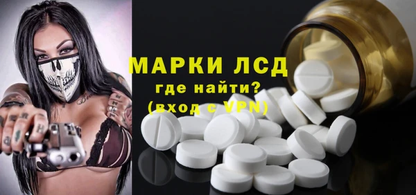 прущие грибы Братск