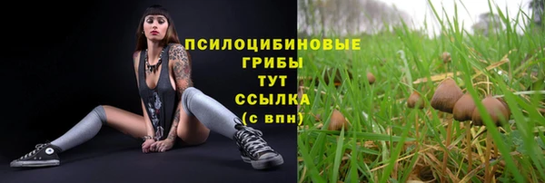 крисы Михайловск