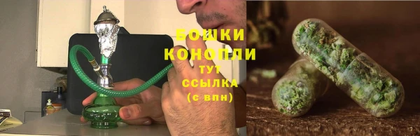 крисы Михайловск