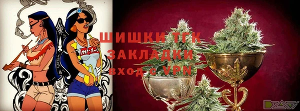 крисы Михайловск
