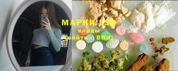 крисы Михайловск