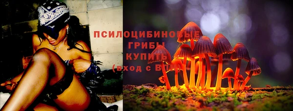 мескалин Михайлов