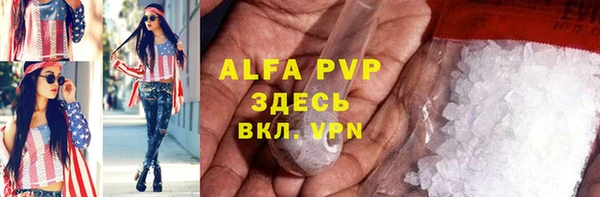 прущие грибы Братск