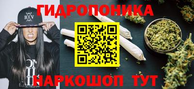 Альфа ПВП Заволжье