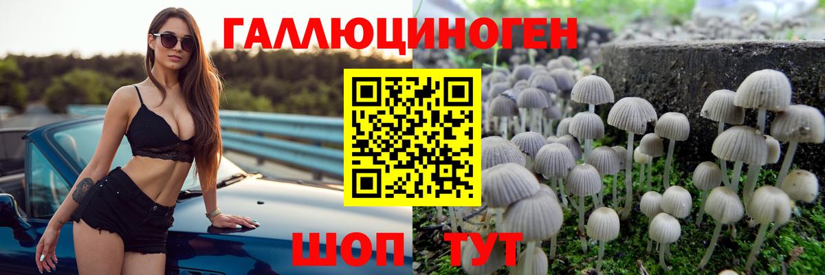 купить   Галлюциногенные грибы Psilocybe  Вход с VPN  Чита 